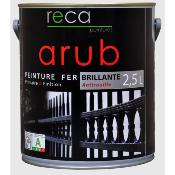 Peinture laque Antirouille Satiné ARUB, RECA